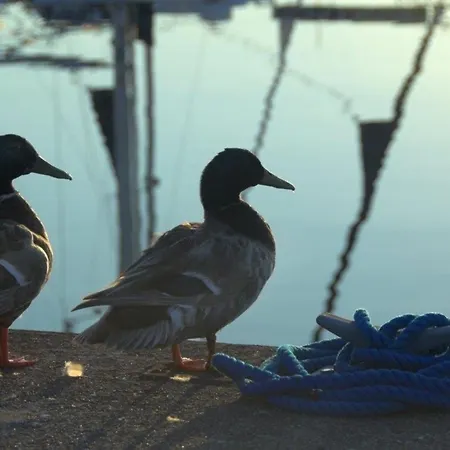 Ancora Marina Haus 1 Nr 09, Typ 3 * Neustadt in Holstein